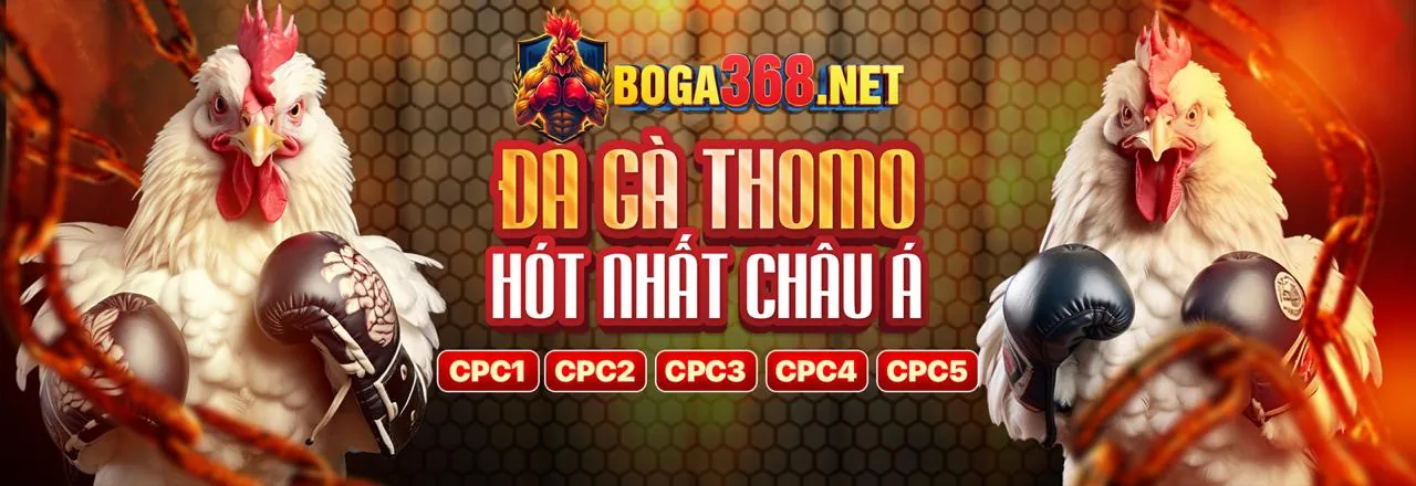 Tính năng nổi bật của vipwin09 Thể Thao